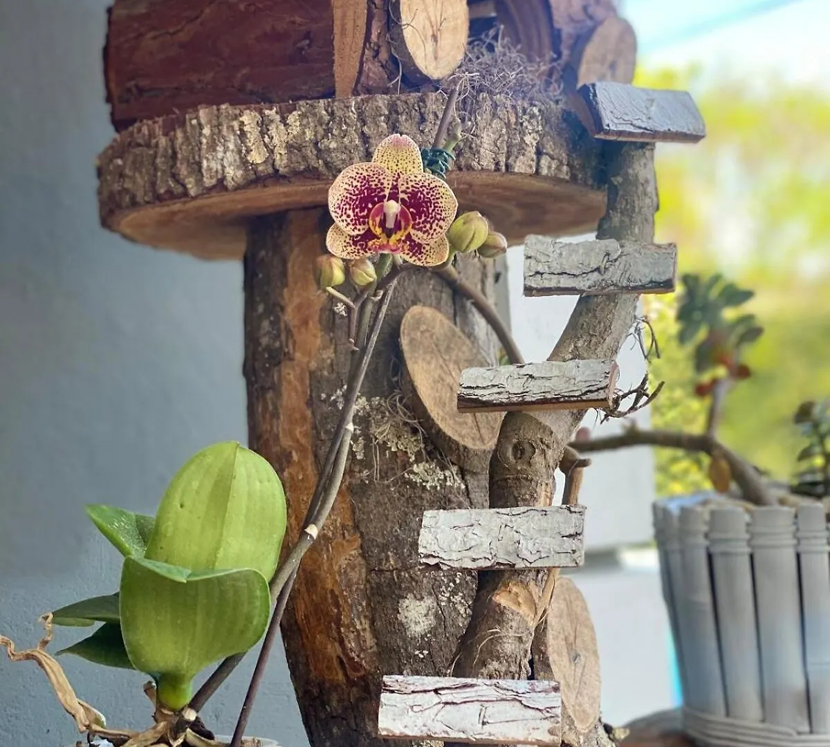 Villa Casa Bella Pinheira - Diaria Ate 10 Pessoas Palhoça 0*,
