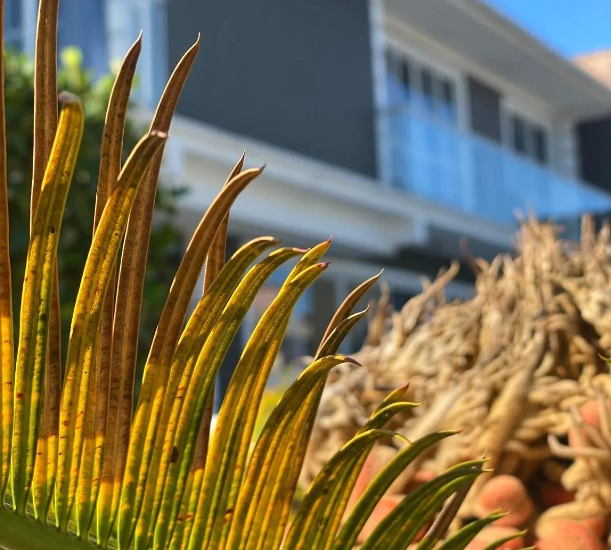 Ferienhaus Villa Casa Bella Pinheira - Diaria Ate 10 Pessoas Palhoça Brasilien