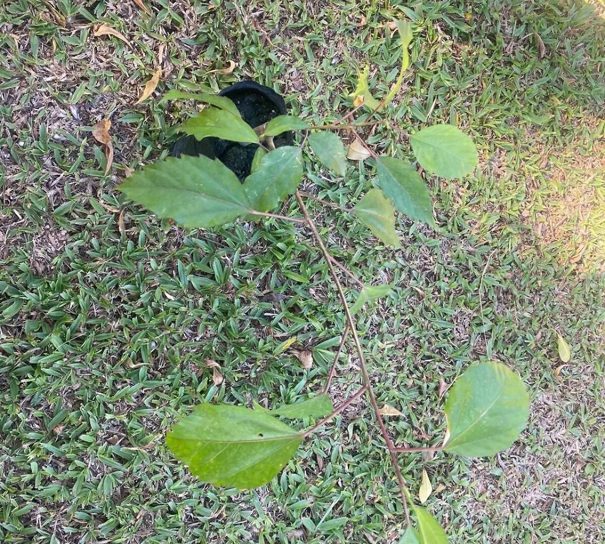 Villa Casa Bella Pinheira - Diaria Ate 10 Pessoas Palhoça Brasilien